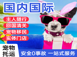 北京机场物流国际宠物托运 【国